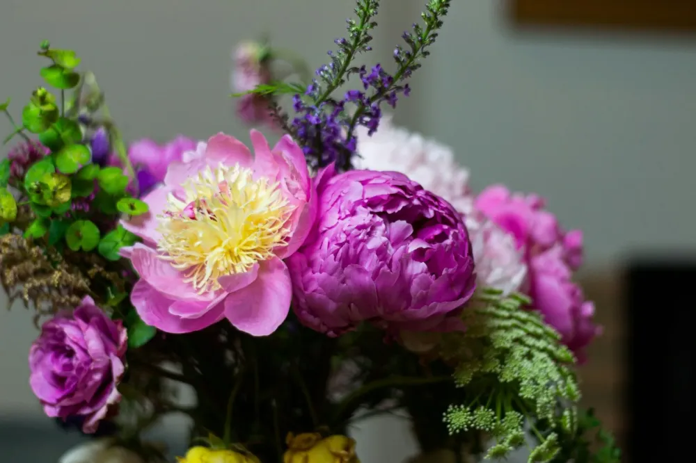 fleurs violettes