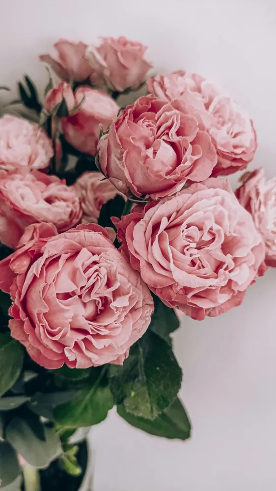 fleurs (8)