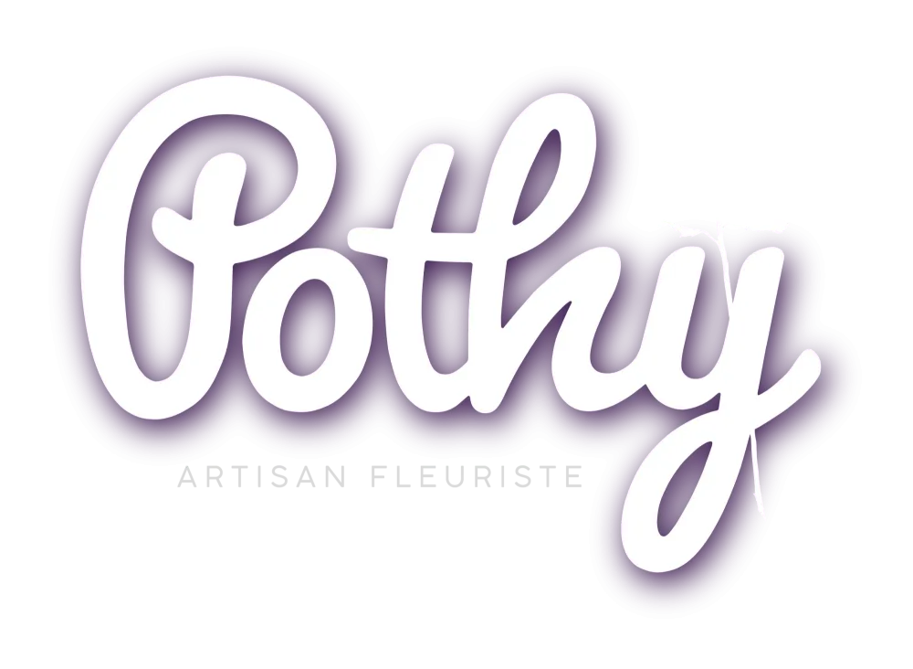 Logotype blanc@2x